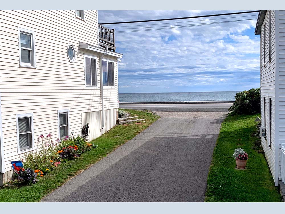 View up the driveway of the beach from the Beach Plum down front porch